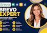 build brevo lead capture forms crm segments automated email journeys
